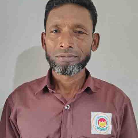 হাফিজ শাহ 
